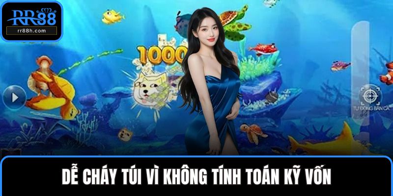 Dễ cháy túi vì không tính toán kỹ vốn