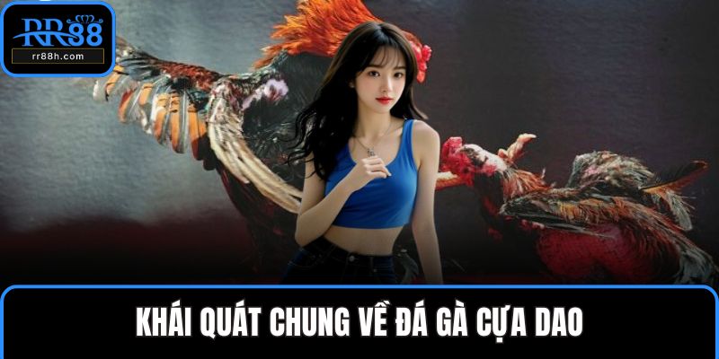 Khái quát chung về đá gà cựa dao