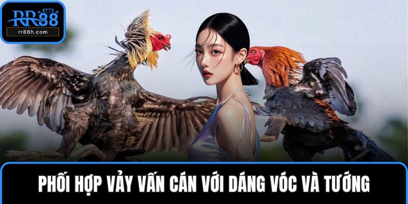 Phối hợp vảy vấn cán với dáng vóc và tướng