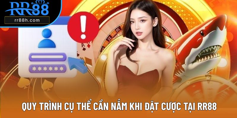 Quy trình cụ thể cần nắm khi đặt cược tại RR88