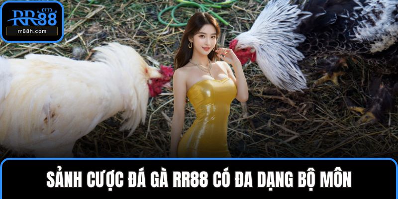 Sảnh cược đá gà RR88 có đa dạng bộ môn