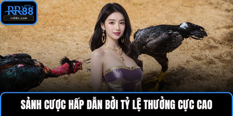 Sảnh cược hấp dẫn bởi tỷ lệ thưởng cực cao