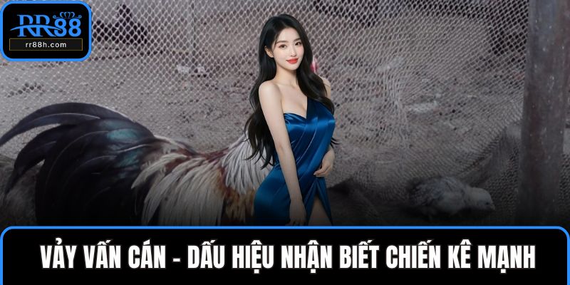 Vảy vấn cán
