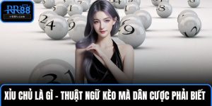 Xỉu chủ là gì